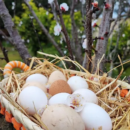 Marinezzi Apartament