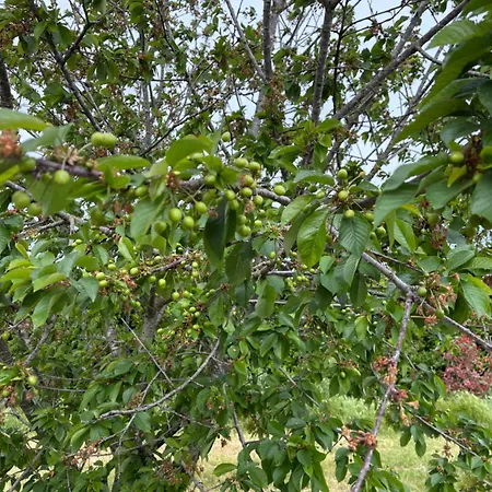 Lejlighed Marinezzi Mesagne