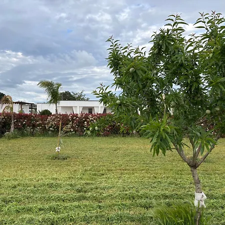 Marinezzi Apartman *